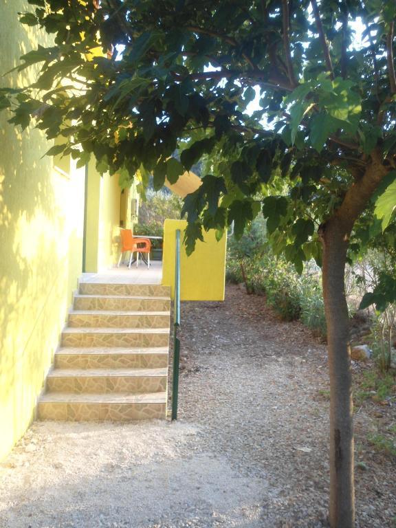 Countryside Studios Agia Efimia Exterior foto